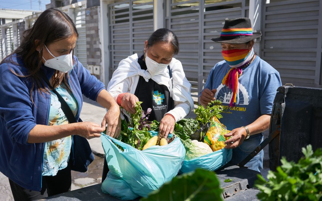 ANÁLISIS DE LA CAPACIDAD Y VULNERABILIDAD CLIMÁTICA CON ENFOQUE DE GÉNERO (CVCA) EN LA COMUNIDAD DE QUINTE BUENA ESPERANZA, TOACASO – LATACUNGA – ECUADOR