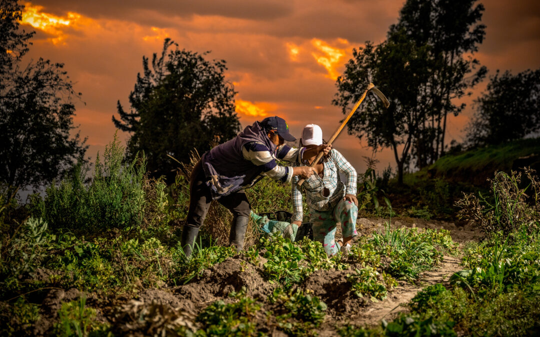 PLAN COMUNITARIO DE ADAPTACIÓN AL CAMBIO CLIMÁTICO DE LAS COMUNIDADES LA PALMA, GUARUMAL, LANZAURCO Y MATIAVÍ