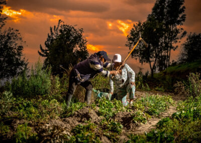 PLAN COMUNITARIO DE ADAPTACIÓN AL CAMBIO CLIMÁTICO DE LAS COMUNIDADES LA PALMA, GUARUMAL, LANZAURCO Y MATIAVÍ